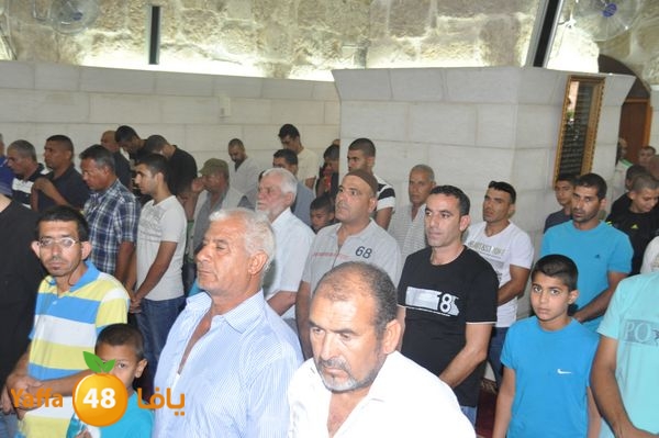 bazsalah lud 712 (33).JPG